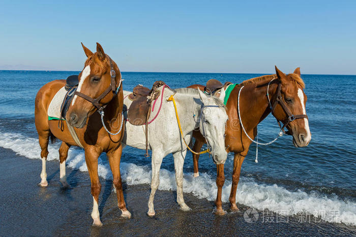 Three horses (what do you pronounce three horses)
